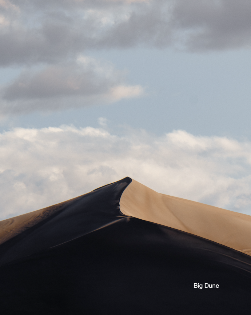 Photo of Big Dune Sand Dunes in Nevada Vistas: American West